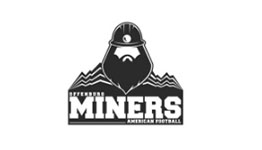 Logo Offenburg Miners