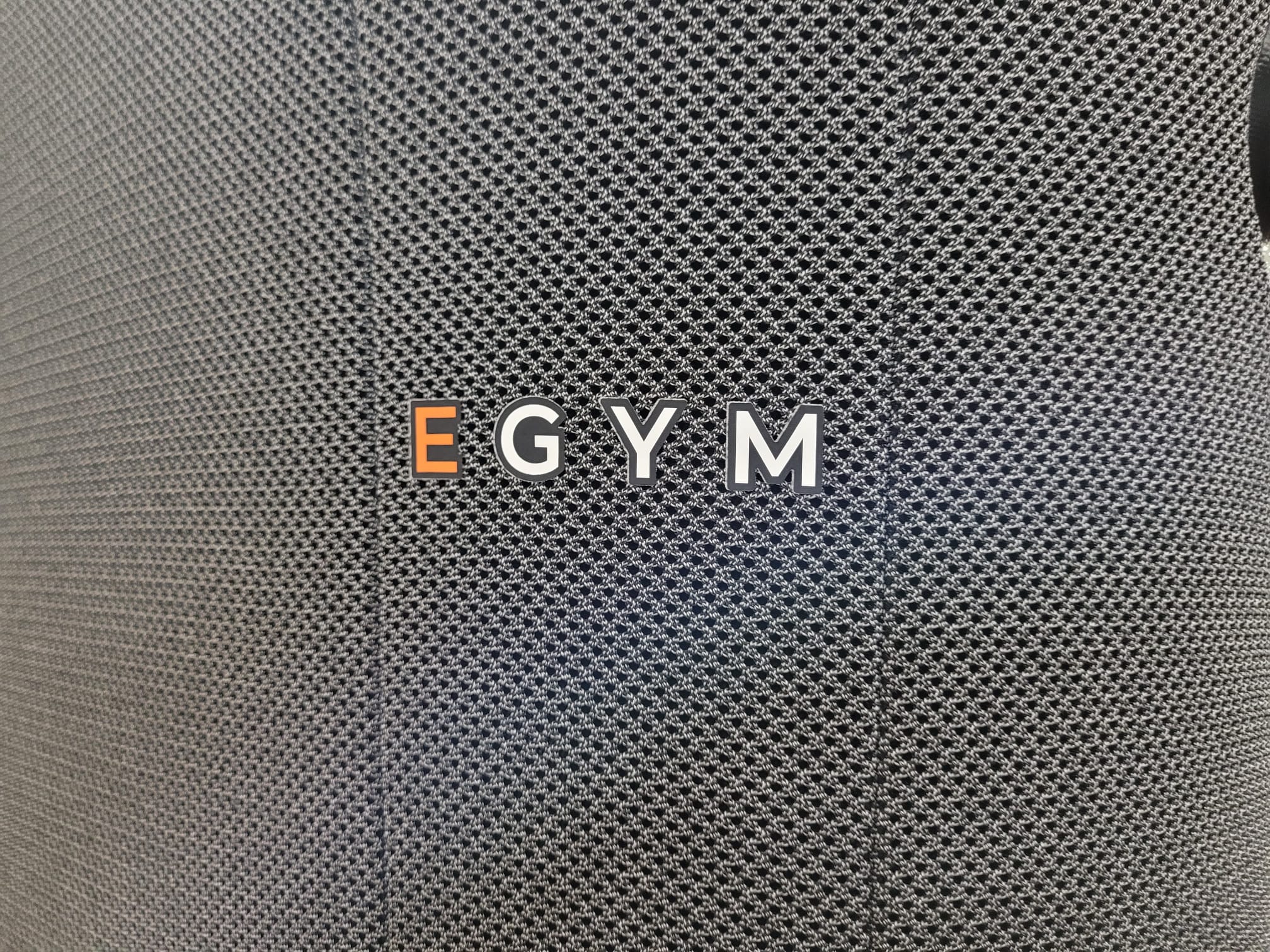 EGYM Logo auf dem Smart Strength Gerät im RehaZentrum Offenburg